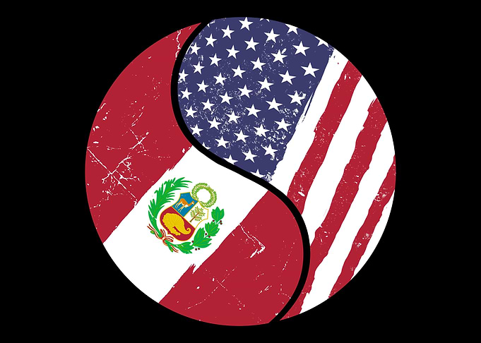 Foreigner Stranger USA