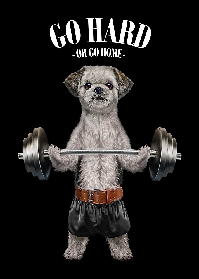 Shih Tzu Dog Weightlifting