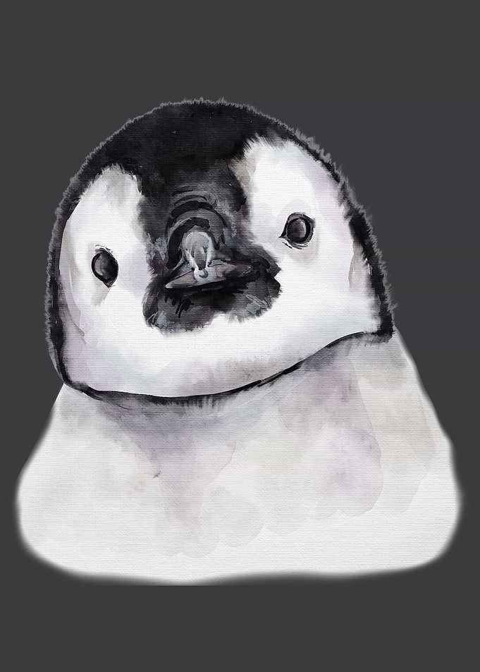 Penguin Cute Baby
