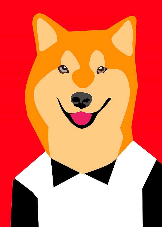 Shiba teenager
