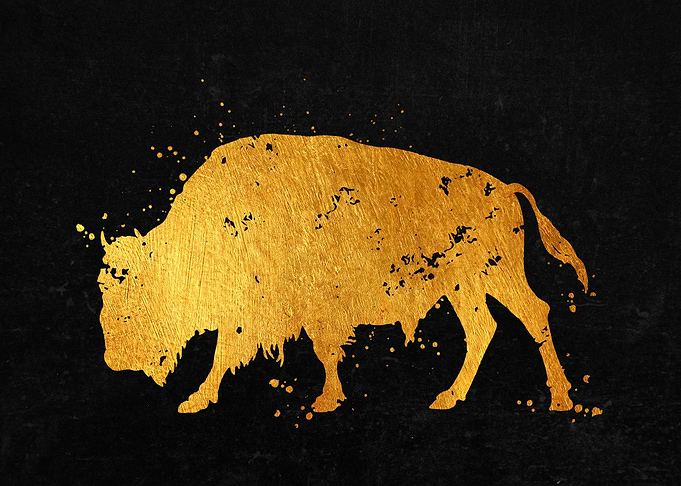 Buffalo