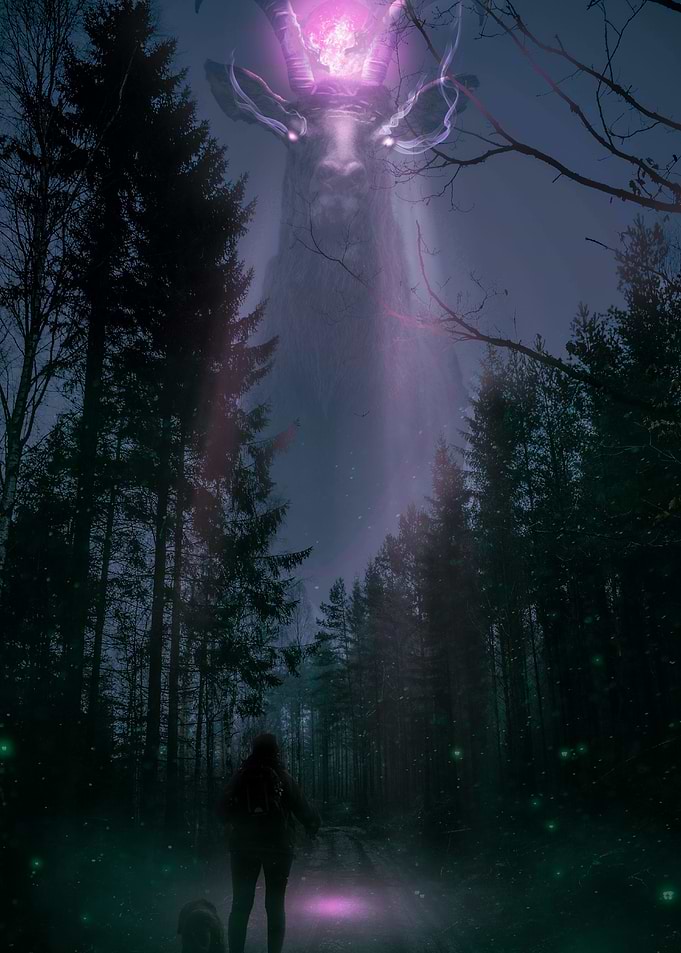 Deer Forest