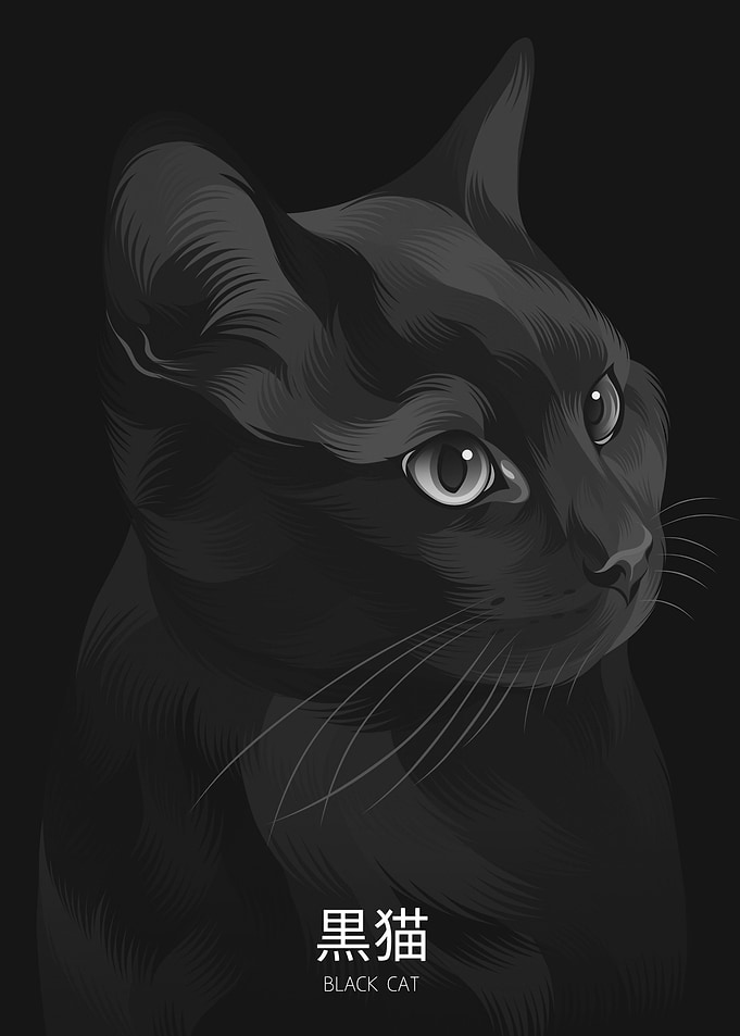Monochrome Cat