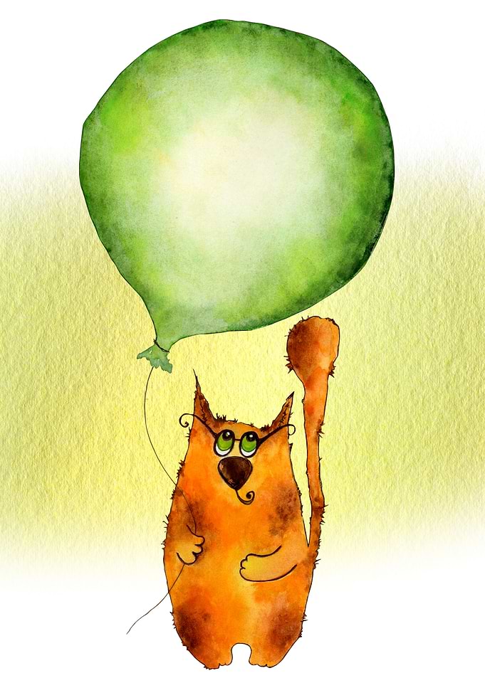 Cute Cat