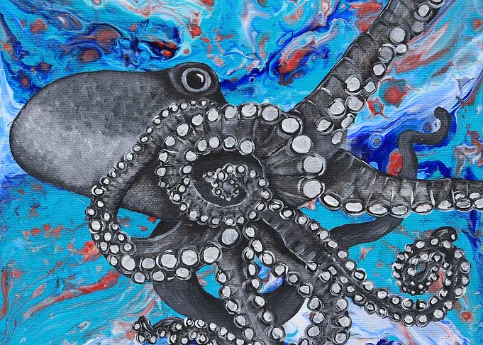 Octopus