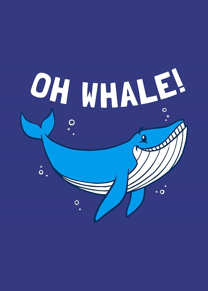 Oh Whale