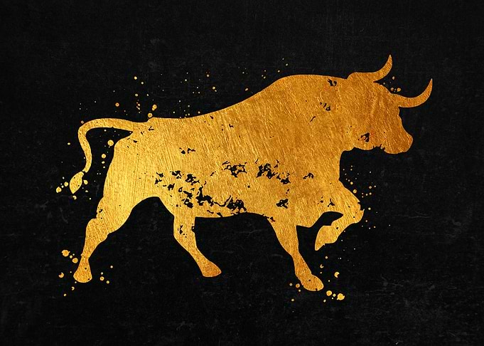 Bull