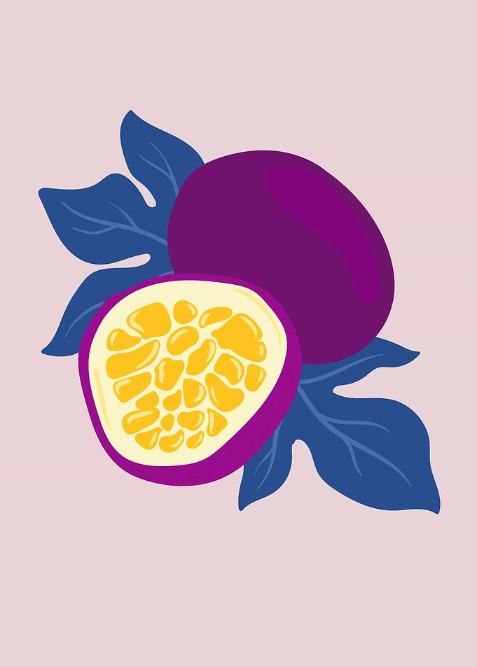 Pomegranate fruits poster