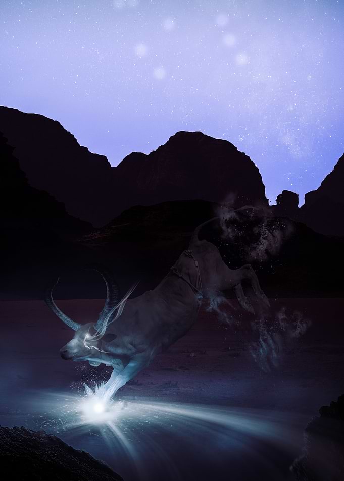 Taurus