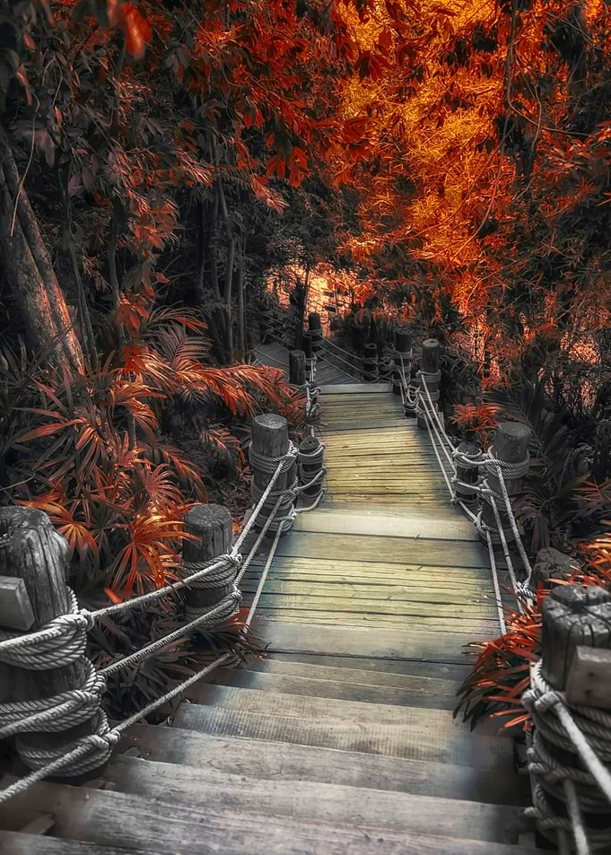 Path In Autumn