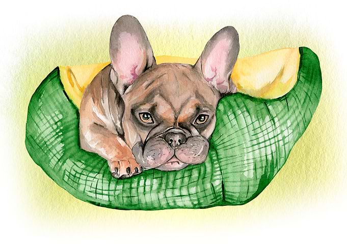 Cute Dog WWatercolor