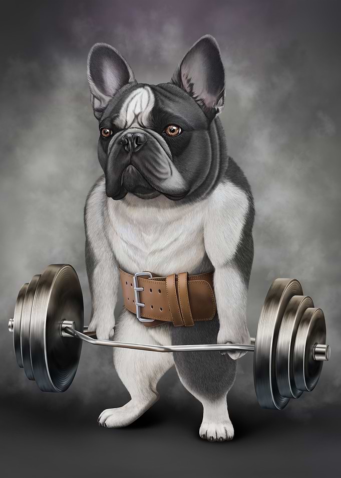 Bulldog Lift Shrug Bar