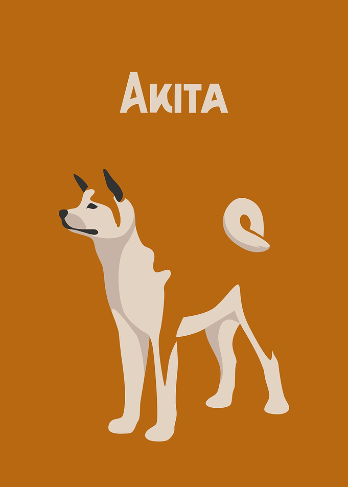 Akita