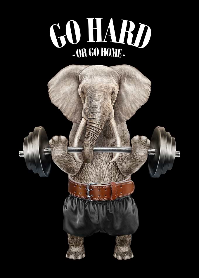 Elephant Weightlifting