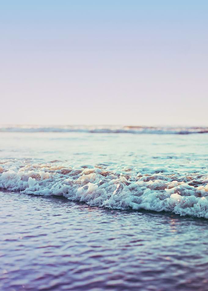 Pacific Dreamer