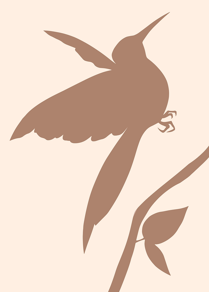 Humming Bird Nature poster