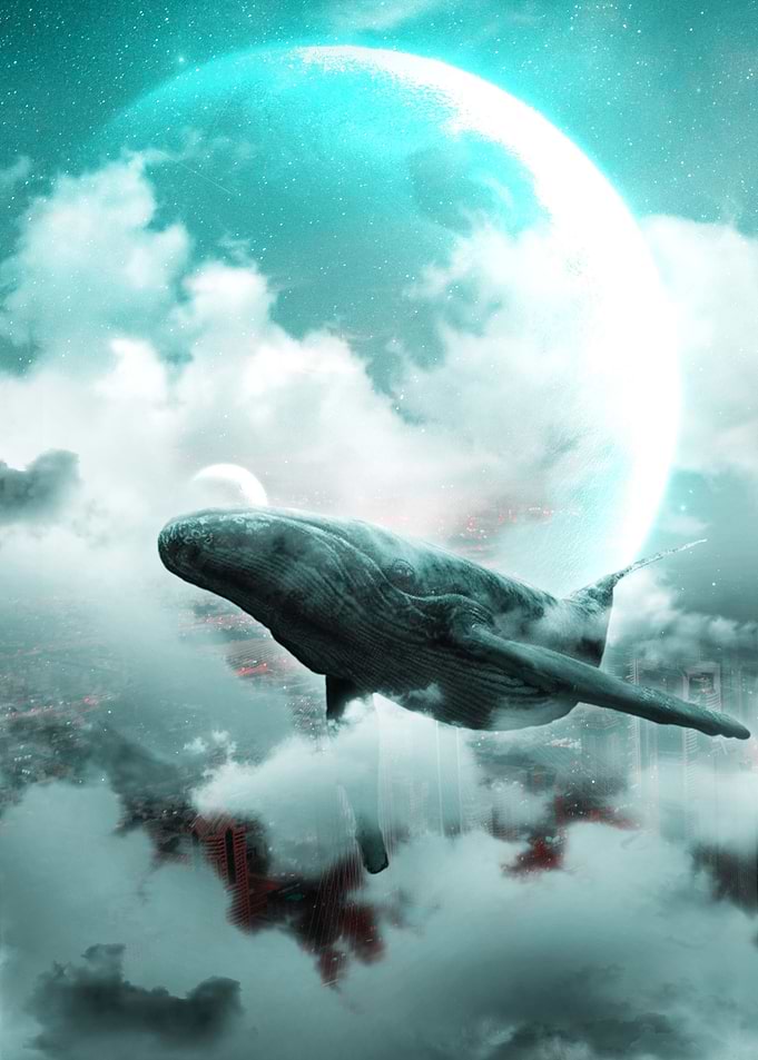 Whale on the sky