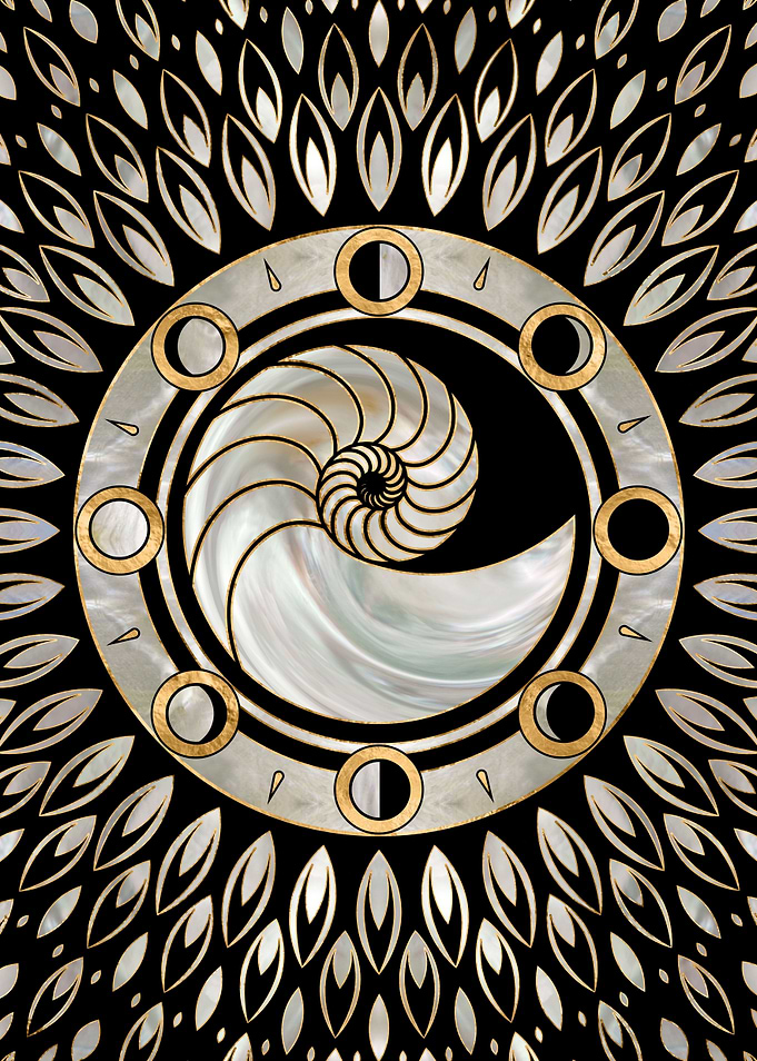 Nautilus Shell