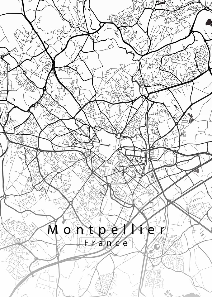 Montpellier City Map