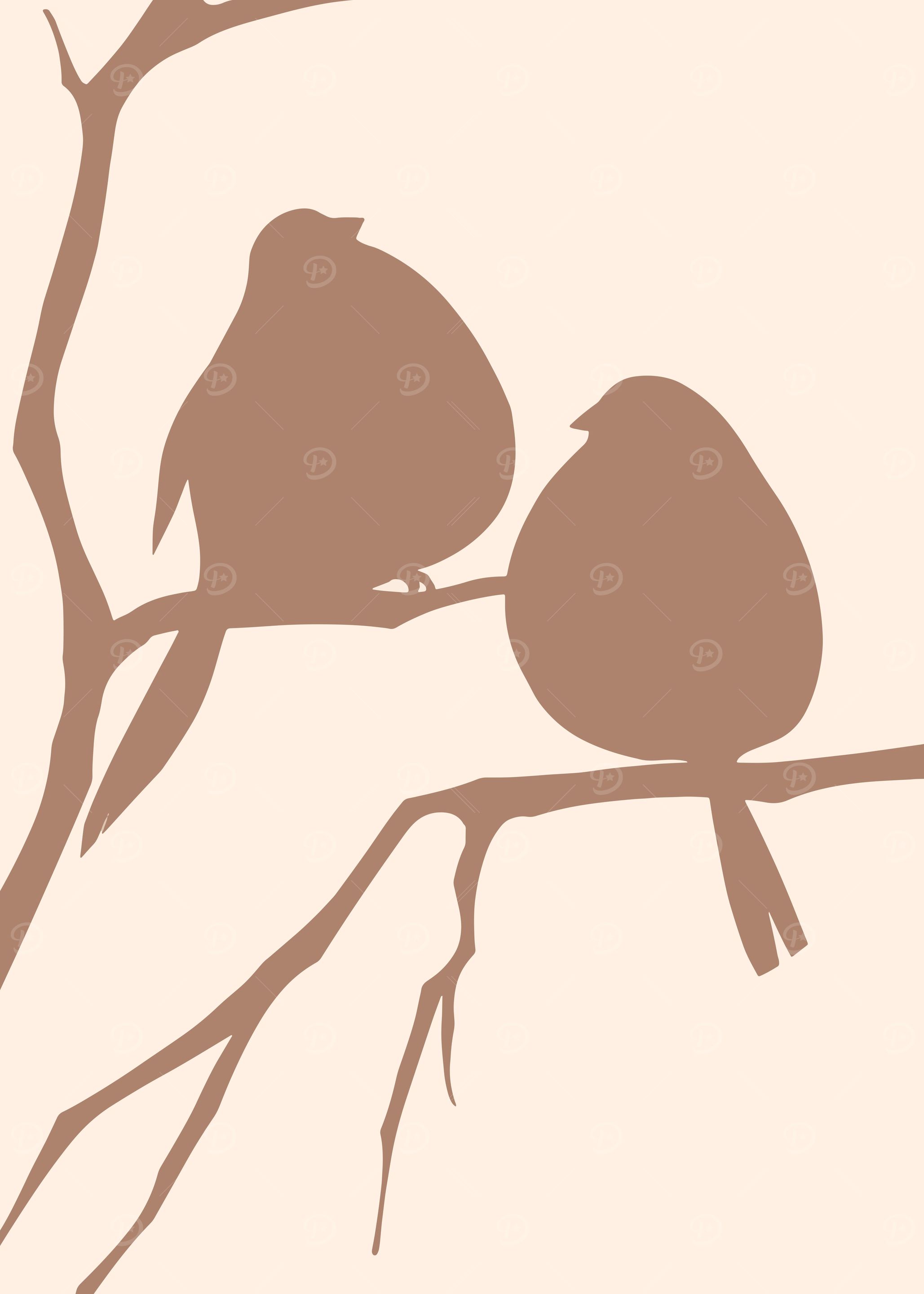 Love Birds Wild lifeNature