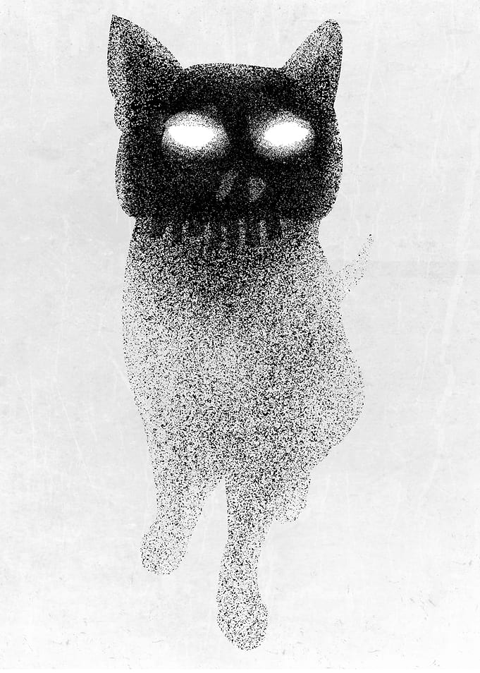 Skull Cat