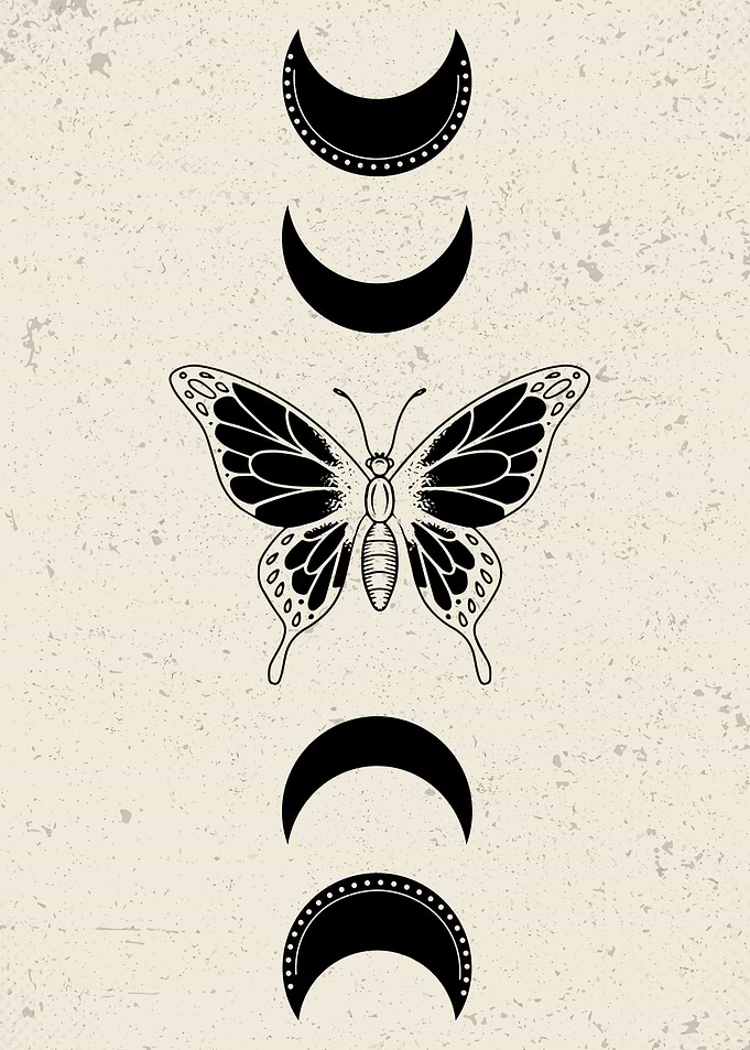 Monarch Butterfly