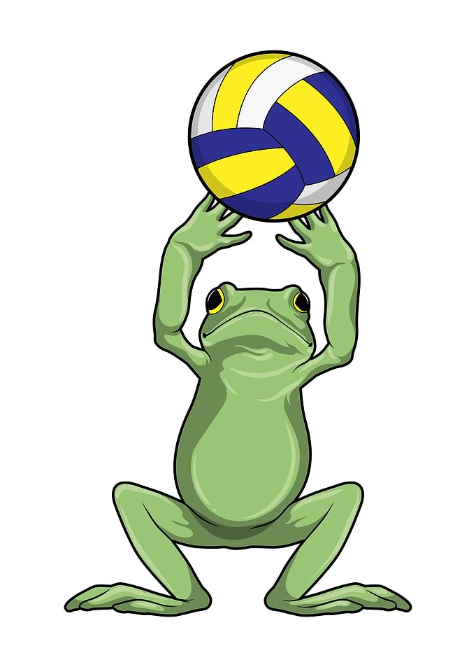 Frog Volleyball Sports