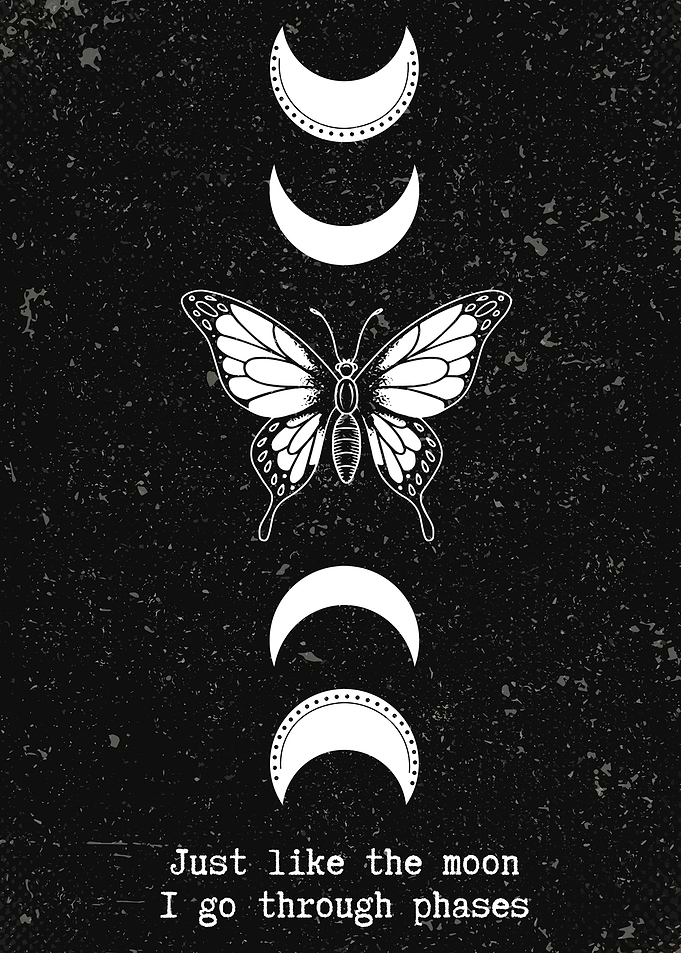 Monarch Butterfly