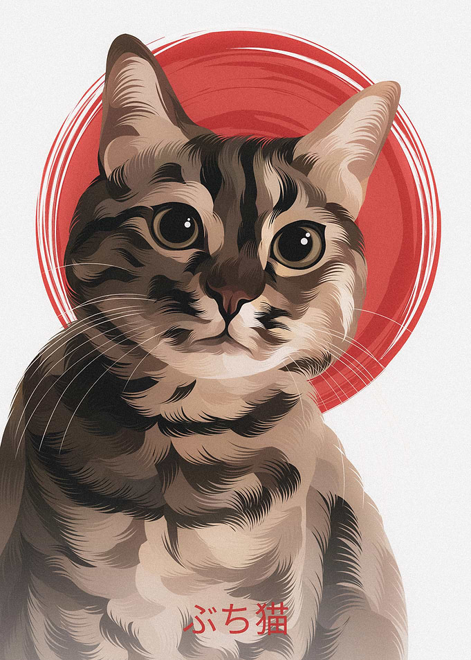 tabi cat