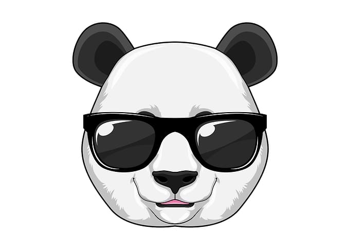 Panda Sunglasses