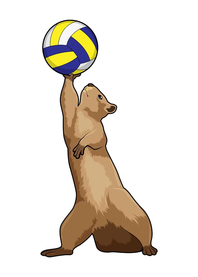 Squirrel Volleyball Sports