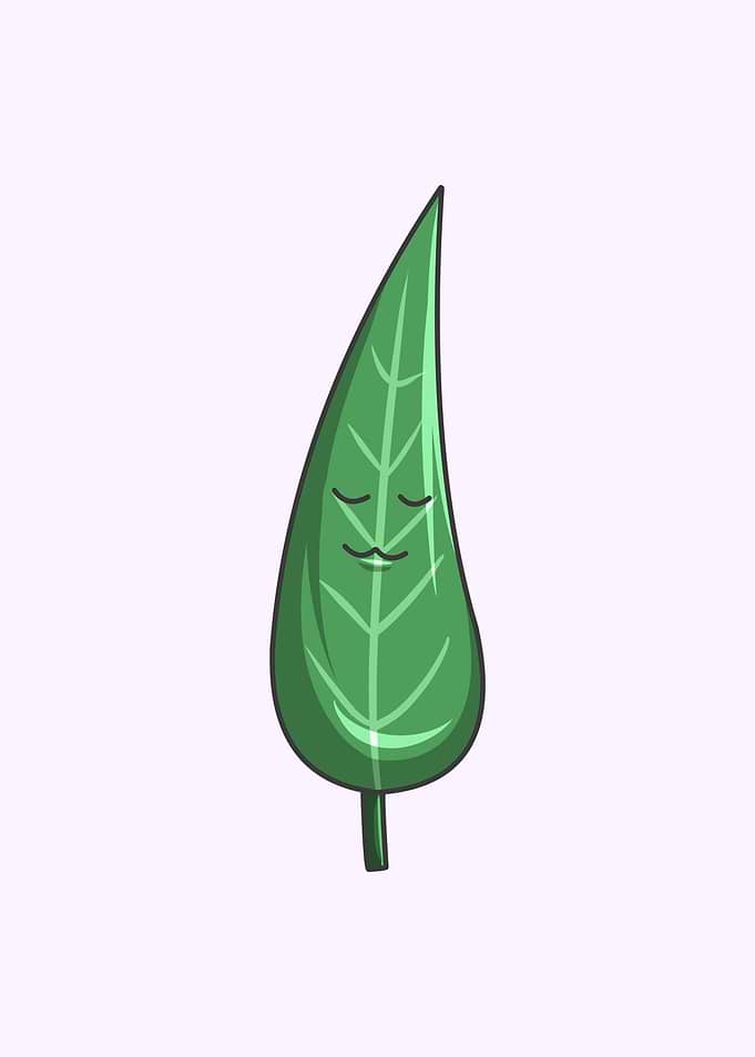 BambooLeaf Kawaii