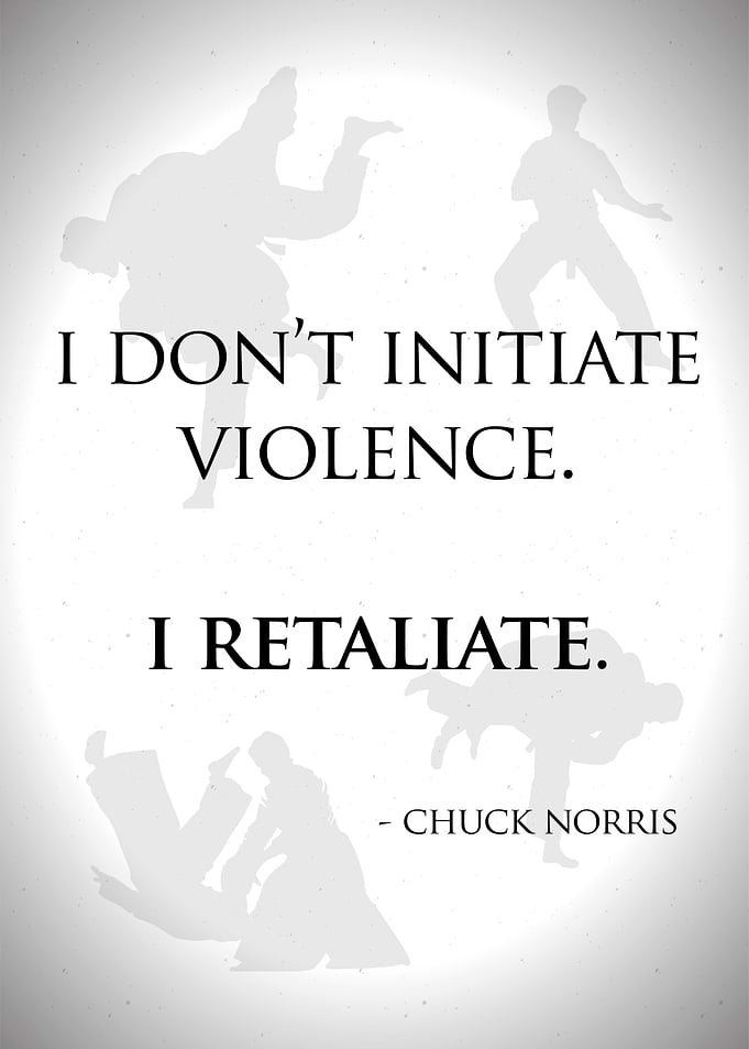 Jiu Jitsu Norris Quote