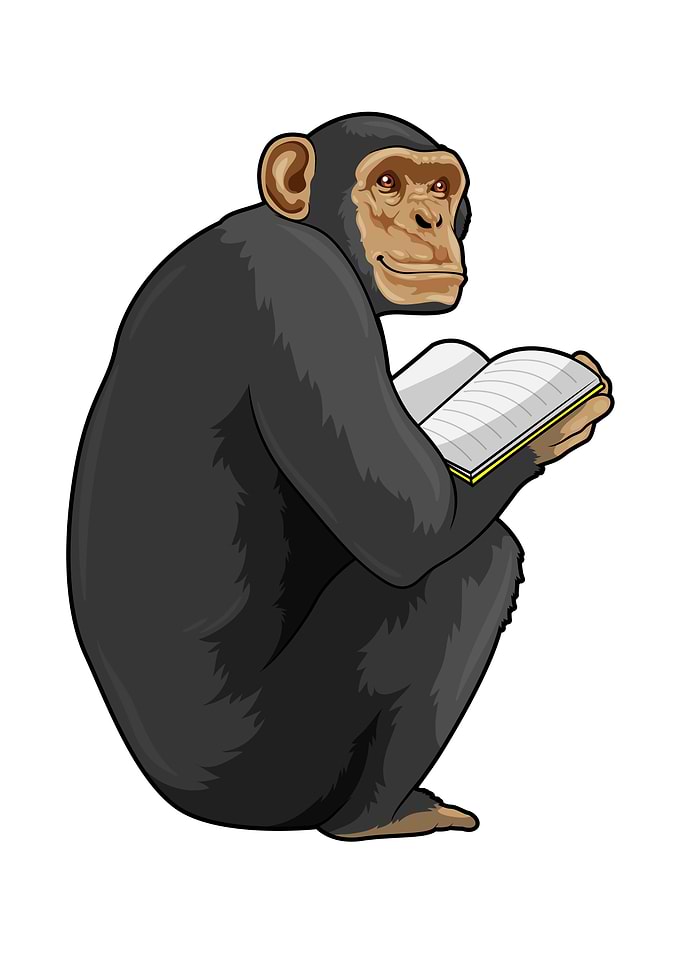 Monkey Nerd Book