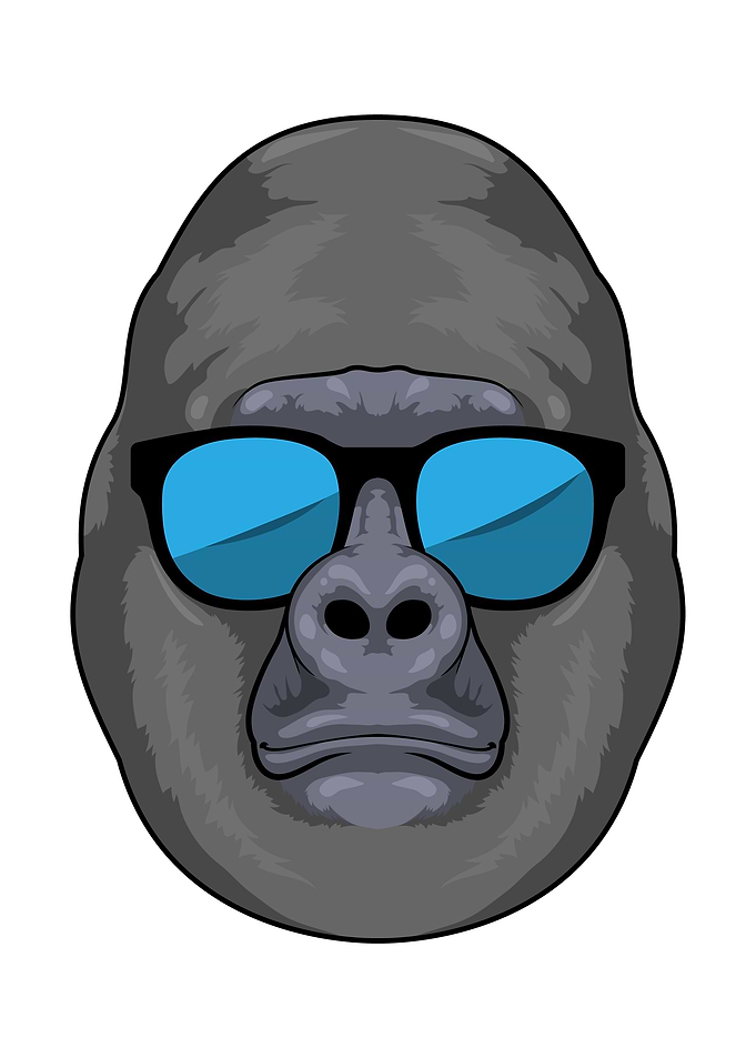 Monkey Sunglasses