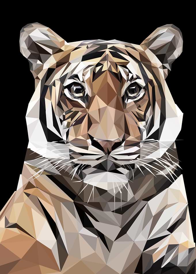 tiger