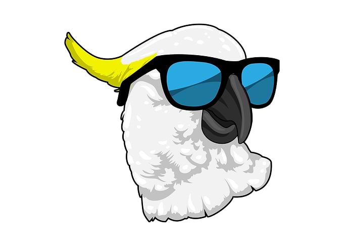 Parrot Sunglasses