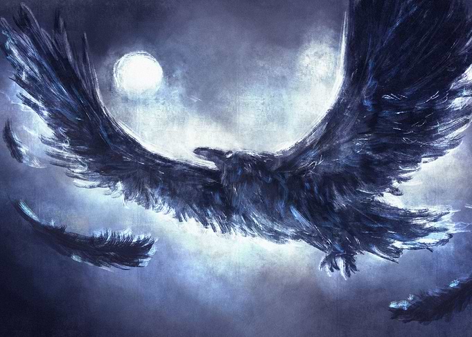 THE RAVEN AND THE NIGHT