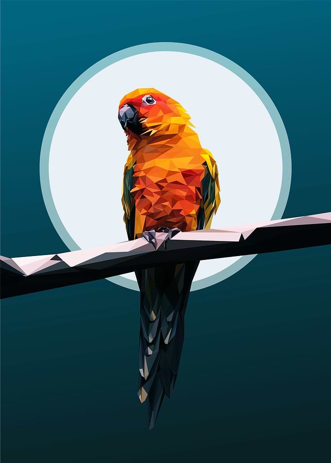 parrot