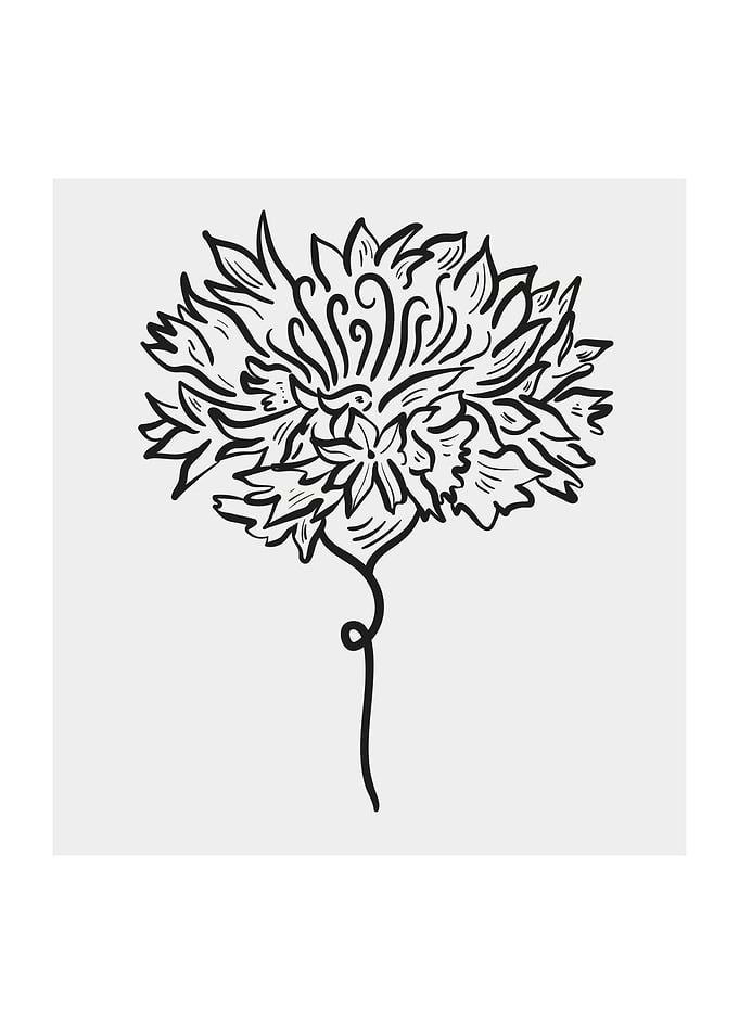 Minimal spring flowers