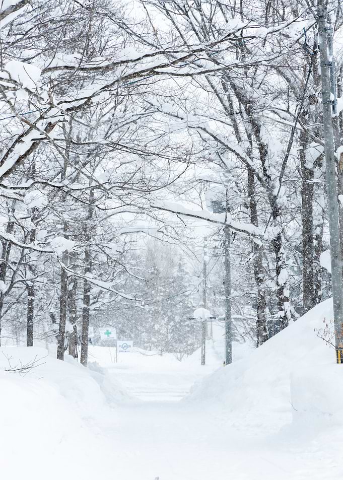 Winter solitude
