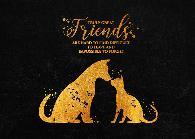 Cat and Dog Friend