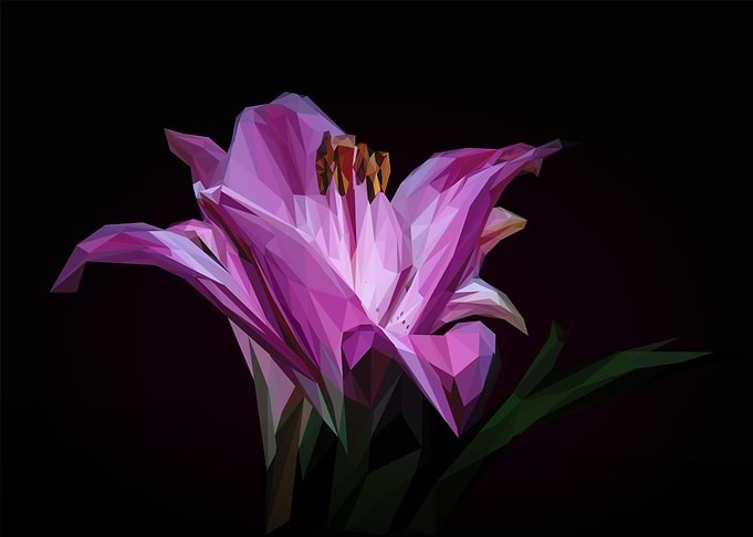 purple flower