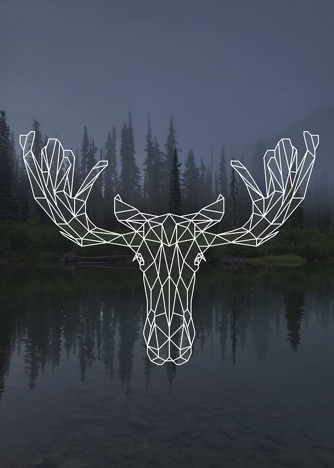 Moose
