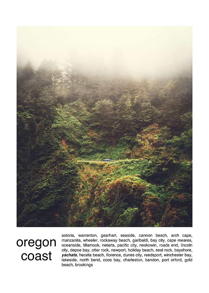 Coastal Fog and Forest