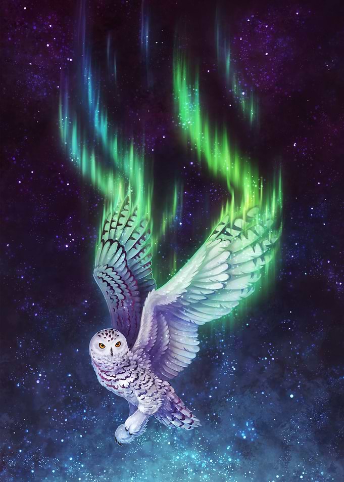 Aurora Flight