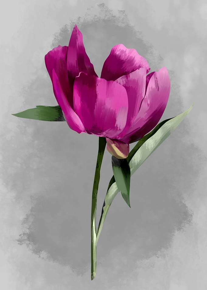 flower