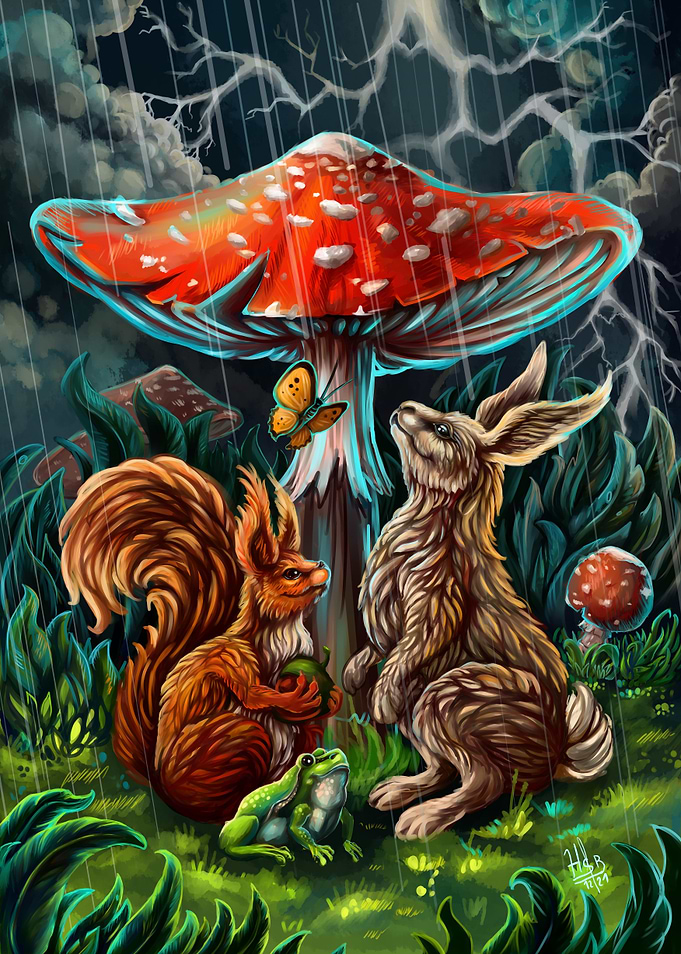 Toadstool and animals rain