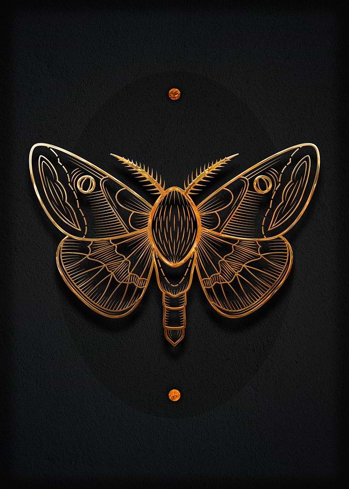 Moth