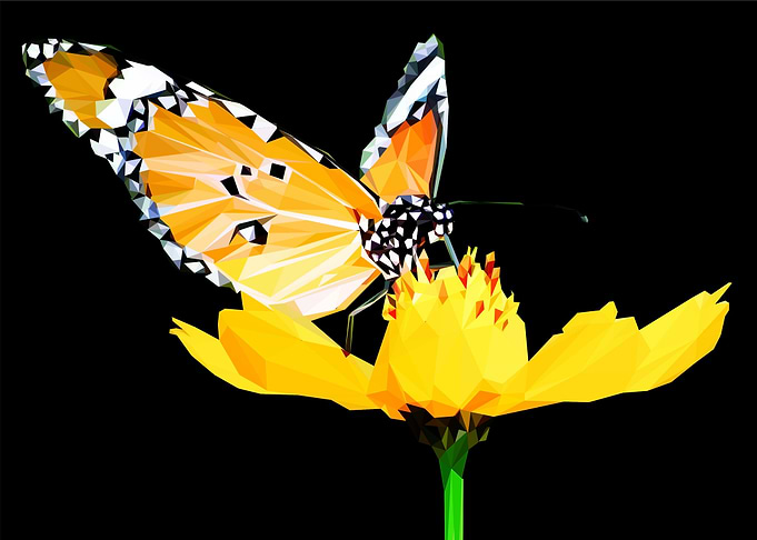 butterfly